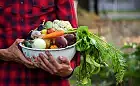 7 sezonowych warzyw. Co warto jeść latem?