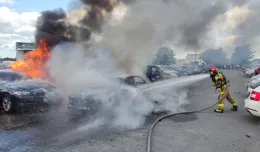 Przy lotnisku spłonęło 10 samochodów
