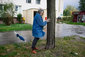 Skutki wichury w  Trójmieście