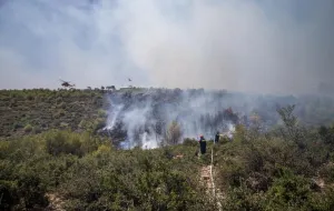 Turysta z Trójmiasta o pożarach na greckich wyspach: jesteśmy bezpieczni