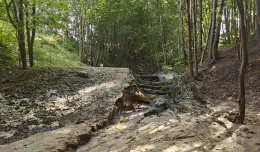 Woda przerwała wał. Zniszczony las i boisko