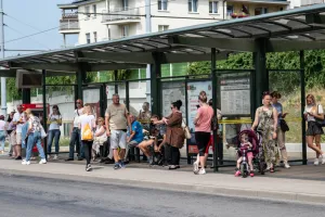 75-latek zasłabł przez upał. Pomogła kierująca autobusem
