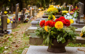 Kwiaty na cmentarz. Jakie kwiaty na cmentarz?