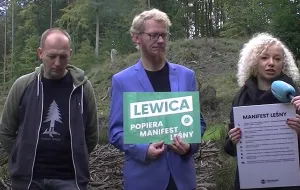 Przeciw wycinkom w TPK. Lewica podpisała Manifest leśny