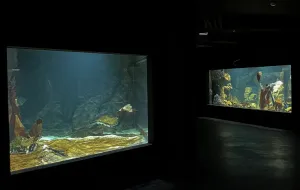 Rozbudowa Akwarium Gdyńskiego na finiszu