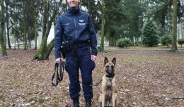 Owczarek belgijski pomoże gdyńskiej policji