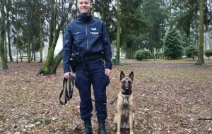 Owczarek belgijski pomoże gdyńskiej policji