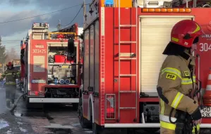 Dwoje dzieci zginęło w pożarze przy ul. Stokrotki na Olszynce