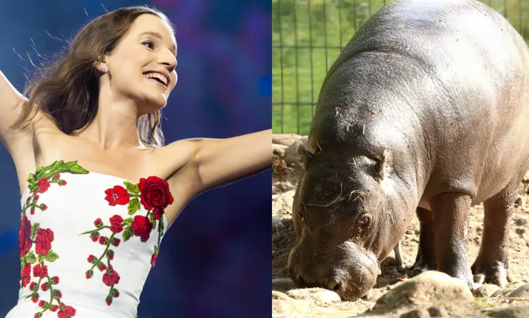 Sanah zaadoptowała hipopotama