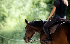 Ukradła drogie buty do jazdy konnej i odżywki dla konia