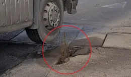 Kleksem asfaltu w pękniętą gumę przy Zieleniaku