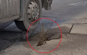 Kleksem asfaltu w pękniętą gumę przy Zieleniaku