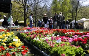 Festyn i targi ogrodnicze w parku Kolibki
