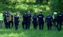 Poszukiwania martwych dzików w Gdyni. Zakaz wstępu do lasu zniesiony