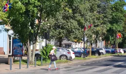 Dlaczego w Gdańsku wiszą flagi państw europejskich?