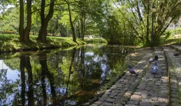 Odpocznij przy rzekach i potokach w Gdyni
