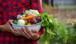 Czy warzywa i owoce są jeszcze zdrowe?