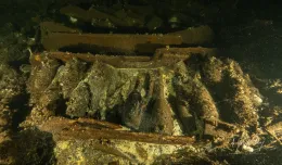 Szampan na dnie Bałtyku. Niezwykłe odkrycie trójmiejskich nurków