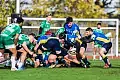 Rugby. Arka i Lechia zmierzą się po raz 70. Ogniwo pauzuje