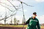 Jesienne opryski drzew owocowych. Czym pryskamy drzewka owocowe na jesień?