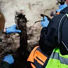 Szczątki trzech mężczyzn odnalezione na Westerplatte