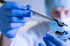 Biorezonans i hirudoterapia: naturalne terapie podejściem do zdrowia