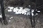 Gdzie wyrzucić styropian? Zależy jaki