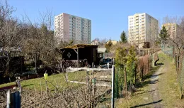 Co można budować na działkach ROD? Przepisy a rzeczywistość