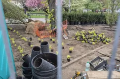 Powstaje nowy zieleniec w centrum Gdańska. Kiedy będzie gotowy?