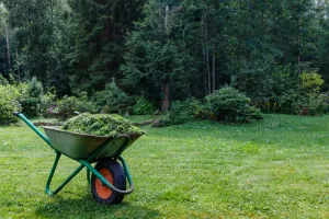 Co zrobić ze skoszoną trawą? Sprawdzone metody na zielony recykling