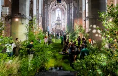 Las w gotyckim kościele w Gdańsku? Nowa instalacja "LeŚnia" już otwarta