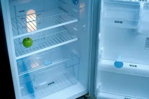 Profesjonalne szafy mroźnicze: kluczowy element wyposażenia w branży HoReCa