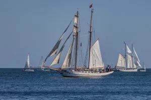 Żaglowce, rejsy i szanty - nadchodzi Baltic Sail Gdańsk 2025