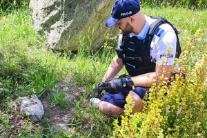 Policjanci na rowerach pomogli rannej mewie