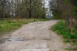 Jak ustalić wynagrodzenie za służebność drogi?