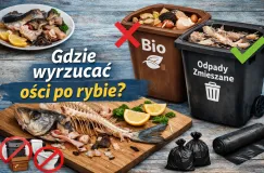 Gdzie wyrzucać ości po rybie?