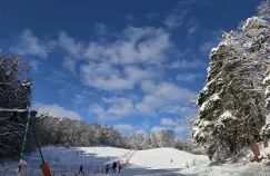 Tę zimę będziemy długo wspominać. To ostatni moment na sanki?
