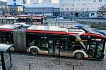Nowe zasady przewozu rowerów, hulajnóg i psów