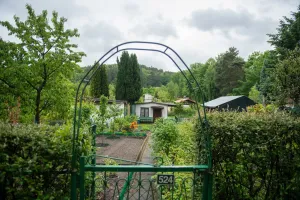 Ile kosztuje roczne utrzymanie działki ROD? Sprawdzamy koszty na sezon 2026