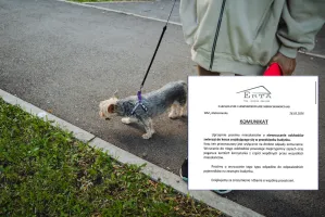 Awantura o psie odchody w śmietniku... na klatce schodowej