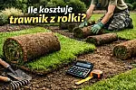 Ile kosztuje trawnik z rolki? Sprawdź, zanim przepłacisz za zielony ogród