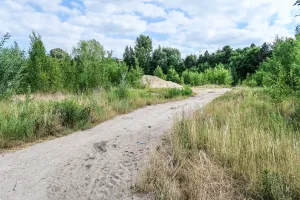 Ile się płaci za służebność drogi? Sprawdź, ile może żądać sąsiad