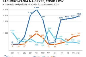 "Wielka trójka" sezonu infekcyjnego. Jakie choroby dominowały w Trójmieście?