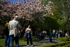 Randkuj po ludzku: Oliwa. Najlepsze miejsca, które warto znać