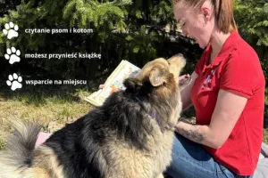 Poczytaj książki psom i kotom ze schroniska