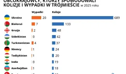 Ile kolizji i wypadków spowodowali obcokrajowcy? Mamy dokładne dane