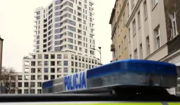 Szła i niszczyła torebką auta