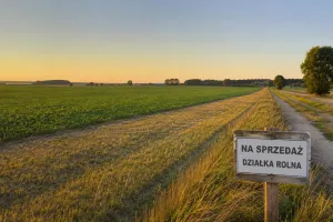 Czy trzeba być rolnikiem, żeby kupić ziemię rolną? Odpowiedź może zaskoczyć
