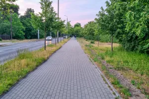 Rowerem wygodniej do Brzeźna. Powstanie wyczekiwana trasa wzdłuż Gdańskiej