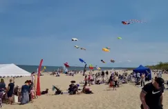 Planuj Tydzień: Hevelka, latawce, parada chórów i dużo koncertów